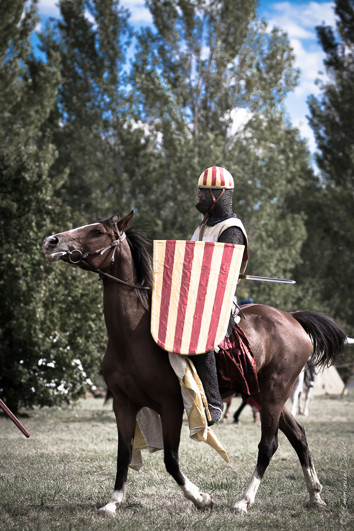 Muret 1213 2013 (39 sur 63)